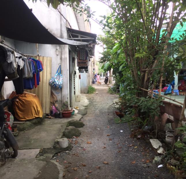 Bán lô đất sau chợ đầu mối Hóc Môn, xã Xuân Thới Thượng, TP HCM