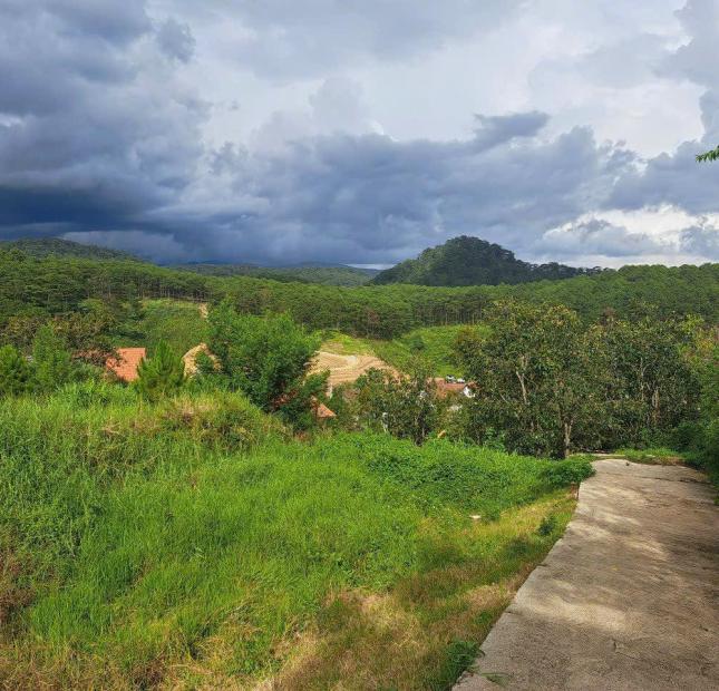 Bán lô đất view rừng thông tại Xuân Thọ Đà Lạt 970m2