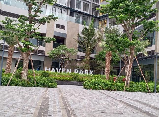 Bán Và Cho Thuê Căn Hộ Chung Cư Haven Park – Ecopark Full Nội Thất.