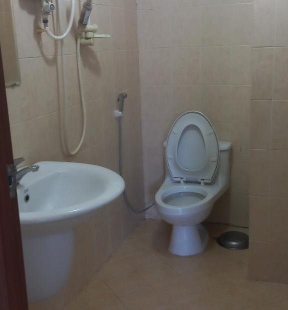 Chính chủ cho thuê Căn hộ Mỹ Phước - Tọa lạc tại đường Bùi Hữu Nghĩa, quận Bình Thạnh