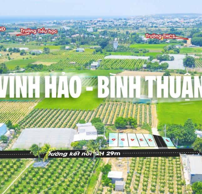 Đất Nền Ven Biển Liên Hương Bình Thuận, Sổ Sẵn FULL Thổ