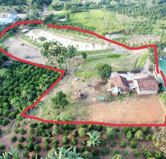 CHÍNH CHỦ BÁN ĐẤT TẶNG NHÀ CẤP 4 VIEW ĐẸP NHẤT ĐĂK NÔNG