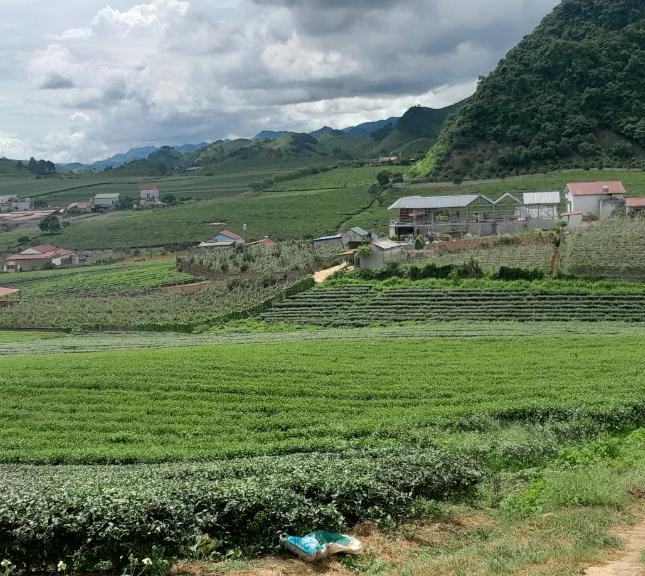 Cần bán lô đất đẹp tại Thị Trấn NT Mộc Châu,Huyện Mộc Châu,Tỉnh Sơn La
