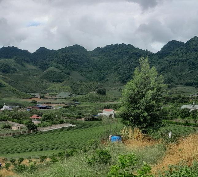 Cần bán lô đất đẹp tại Thị Trấn NT Mộc Châu,Huyện Mộc Châu,Tỉnh Sơn La