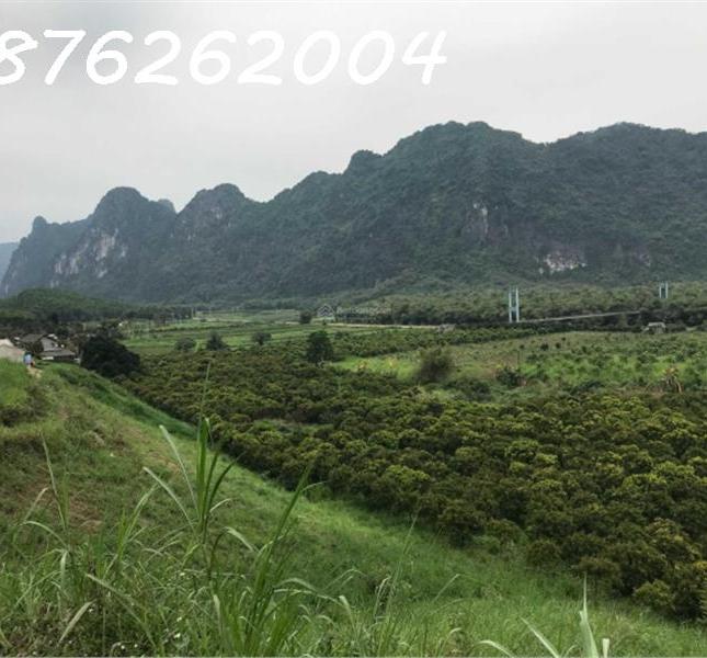 Chính chủ cần bán đất trang trại, khu nghỉ dưỡng 70.000m2 tại Lạc Thủy, Hòa Bình - Giá 1X tỷ