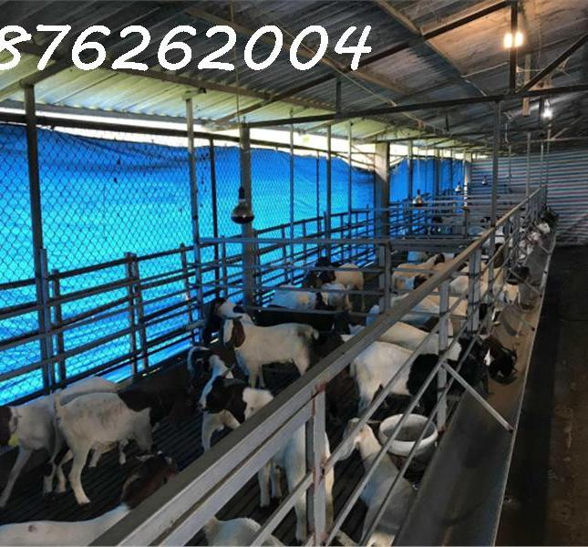 Chính chủ cần bán đất trang trại, khu nghỉ dưỡng 70.000m2 tại Lạc Thủy, Hòa Bình - Giá 1X tỷ