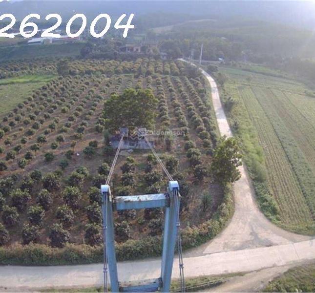 Chính chủ cần bán đất trang trại, khu nghỉ dưỡng 70.000m2 tại Lạc Thủy, Hòa Bình - Giá 1X tỷ