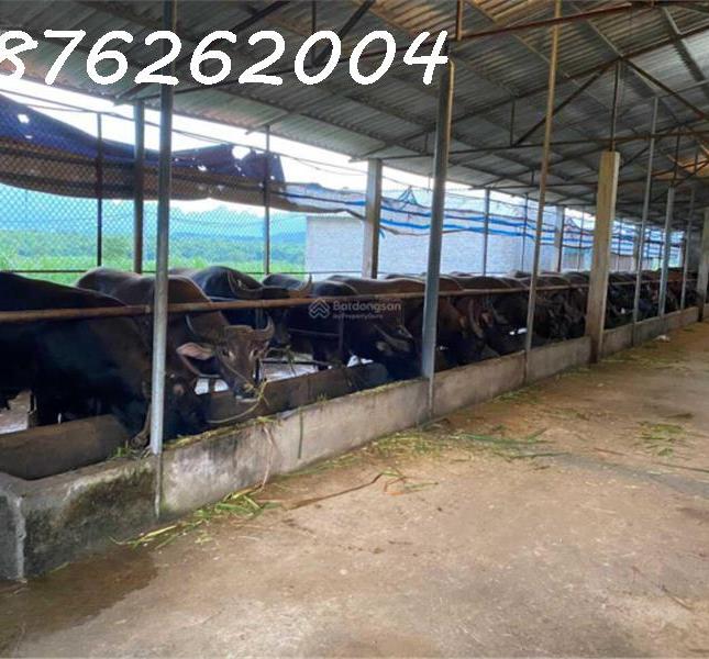 Chính chủ cần bán đất trang trại, khu nghỉ dưỡng 70.000m2 tại Lạc Thủy, Hòa Bình - Giá 1X tỷ