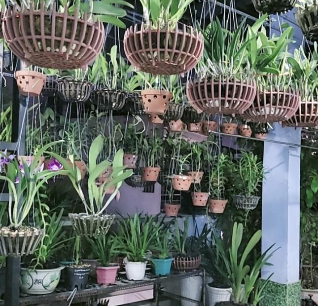 BÁN NHÀ LẠC LONG QUÂN 47M2 -  TÂN BÌNH, HXH GIÁ 9.2 TỶ 
