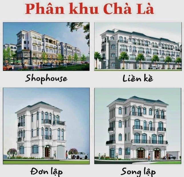 Nhu cầu cần mua biệt thự diện tích từ 120m2, 127m2, 168m2, 180m2, 241m2, 465m2 vinhomes ocean park