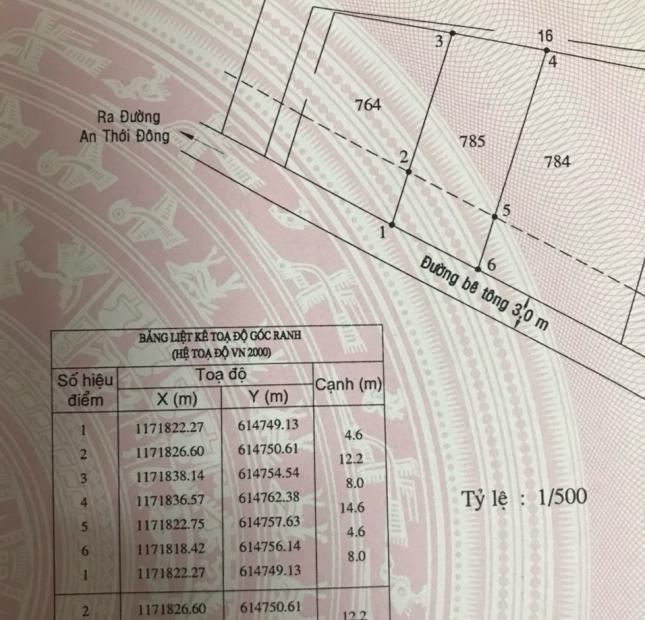 Bán lô đất thổ cư X.An Thới Đông, Cần Giờ: 8 x 16, giá 1,7 tỷ