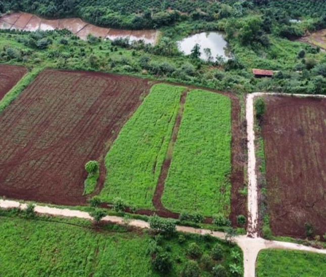 Bán đất vườn trong nông trại Southern Pleiku Farm Giá 260tr/1000m
