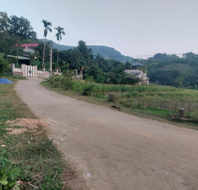 Cần bán lô đất tại đội 1 nay là tổ 5 phường Thống Nhất, thành phố Hòa Bình.