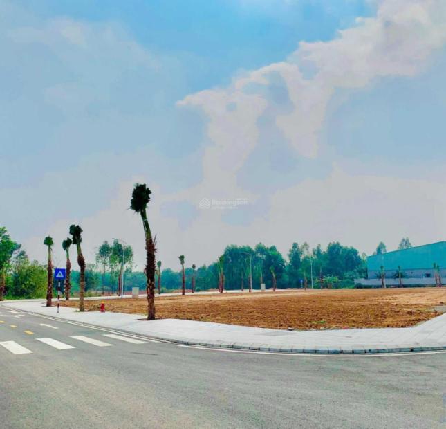 Ra mắt dự án đất nền đấu giá Việt Trì Spring City - Phú Thọ. Giá chỉ 1.2 tỷ/lô