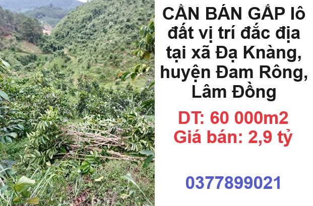 ⭐CẦN BÁN GẤP lô đất vị trí đắc địa tại xã Đạ Knàng, huyện Đam Rông, Lâm Đồng; 2,9 tỷ; 0377899021