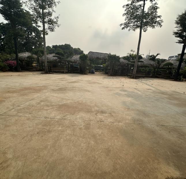 Bán đất TMDV mặt đường Nguyễn Tất Thành, Liên Bảo. DT 4700m2