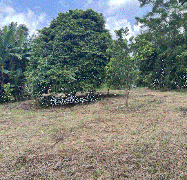 Chính chủ cắt 2000m, Full thổ cư. Đất TT Thanh Hà, HB. Giá 2,7 tỷ