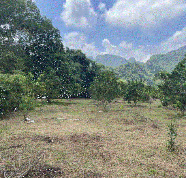 Chính chủ cắt 2000m, Full thổ cư. Đất TT Thanh Hà, HB. Giá 2,7 tỷ
