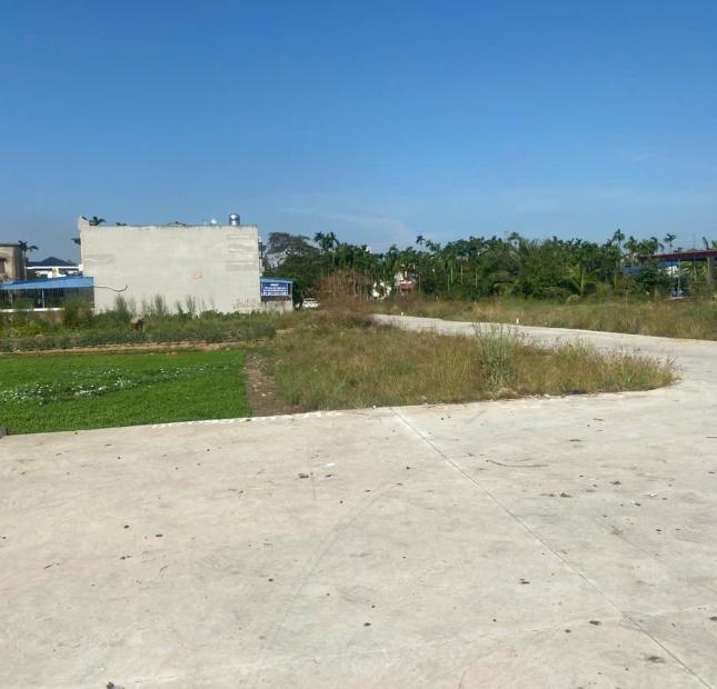 Bán đất ở khu đấu giá Kiến Phong Đồng Thái ,76 m2 ,1,35 tỷ