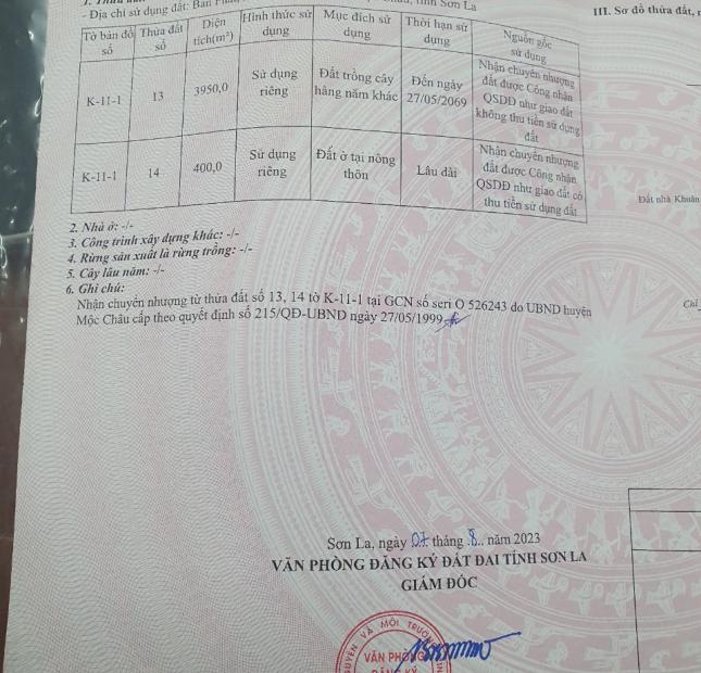 Cần Bán Lô Đất Mặt Tiền Phát Lóng xã Lóng Sập huyện Mộc Châu tỉnh Sơn La