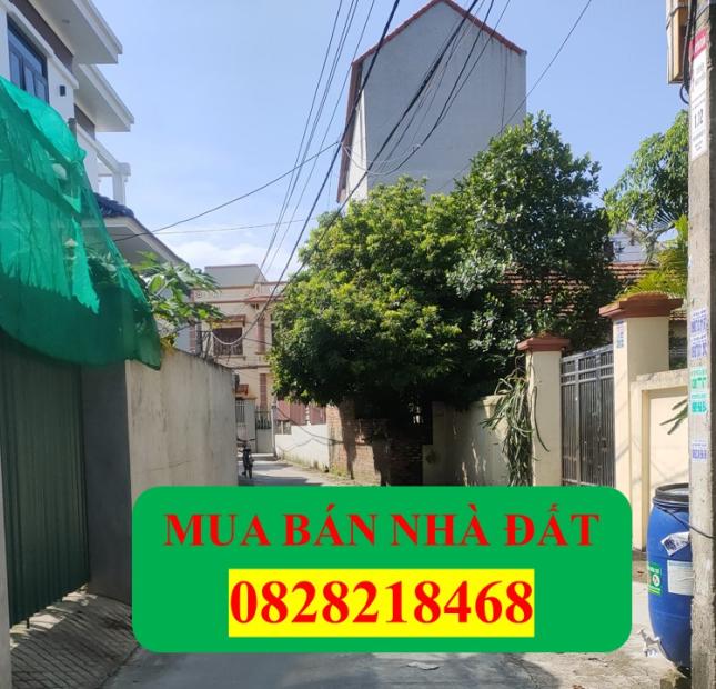 Cần bán 500m đất Chỉ Đạo, sát KCN Phố Nối A, ô ô vào thoải mái: lh 0828218468 