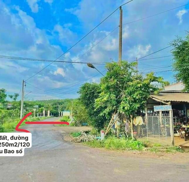 Cần bán nhanh lô đất giá rẻ tại Bù Đốp, Bình Phước