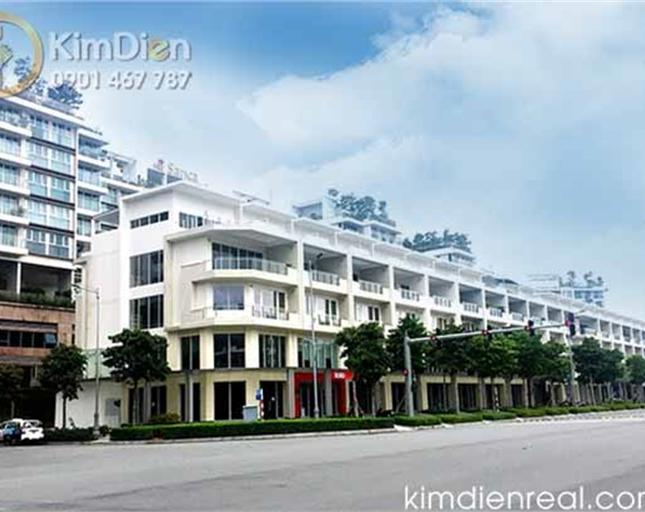 Cho Thuê Shophouse và Văn Phòng Tại Đường Số 10, An Lợi Đông, Quận 2