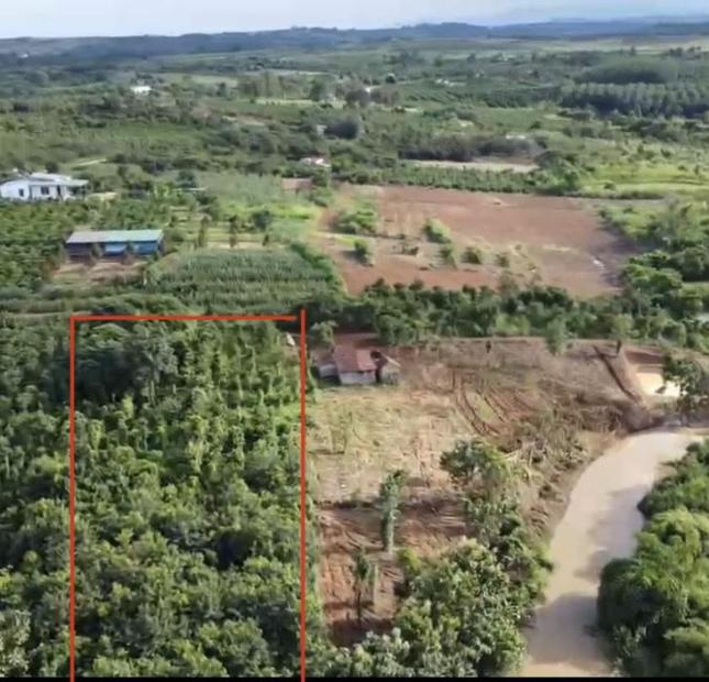 ĐẤT ĐẸP - GIÁ TỐT - Cần Bán Nhanh Lô Đất Vị Trí Đắc Địa Tại Xã Đăk Gằn ,Đăk Mil, Đăk Nông