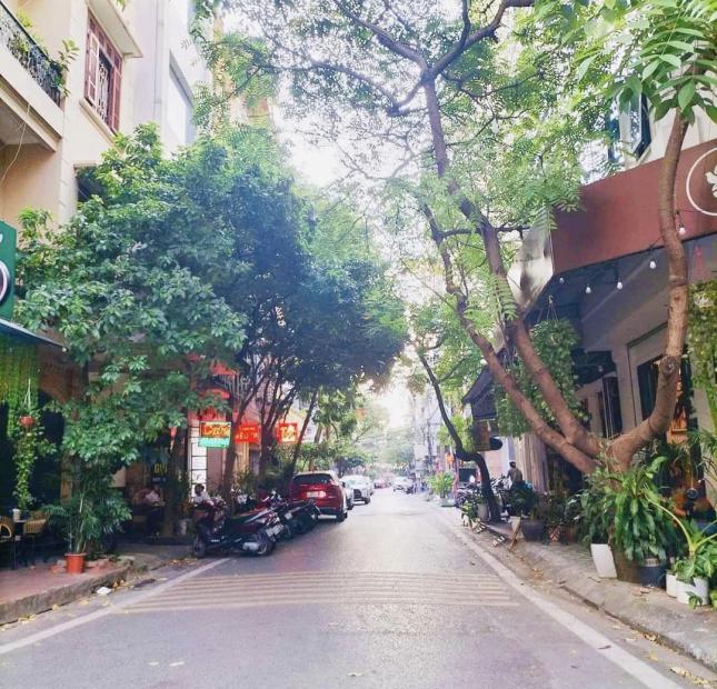 MẶT NGÕ, PHẠM TUẤN TÀI, CẦU GIẤY-KINH DOANH- GARA-VỈA HÈ:41/46M X5T, MT 4,4M, GIÁ 13,8 TỶ