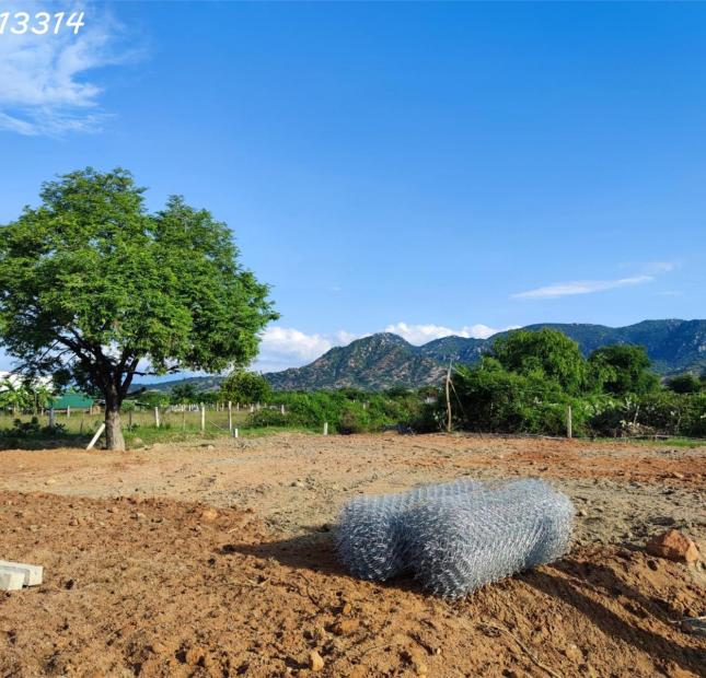 Bán đất biển Ninh Thuận - Full thổ cư - Giá chưa tới 4.3tr/m2