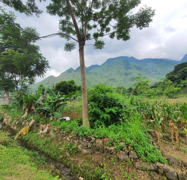 Cần bán mảnh đất rộng 1949 m2, nằm trên trục 181 đường đi Hà Giang