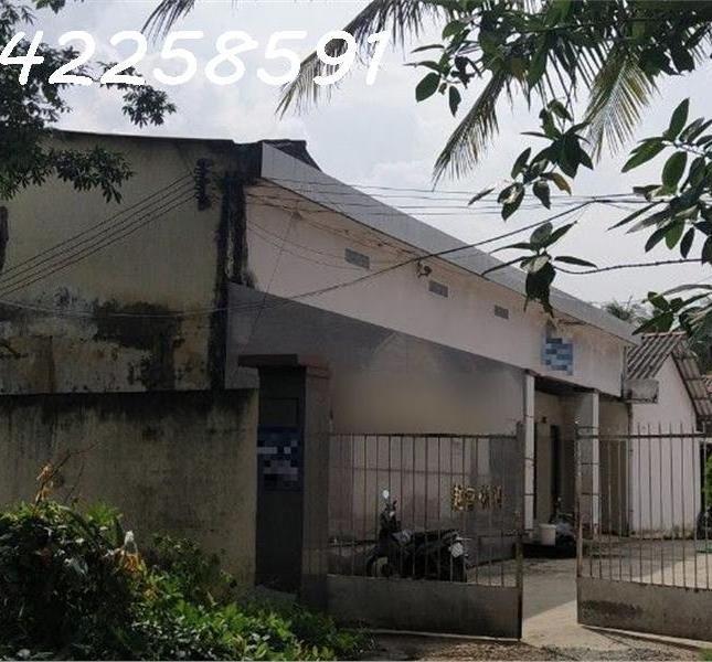 Bán nhà xưởng giá rẻ, đang cho thuê 60tr/tháng