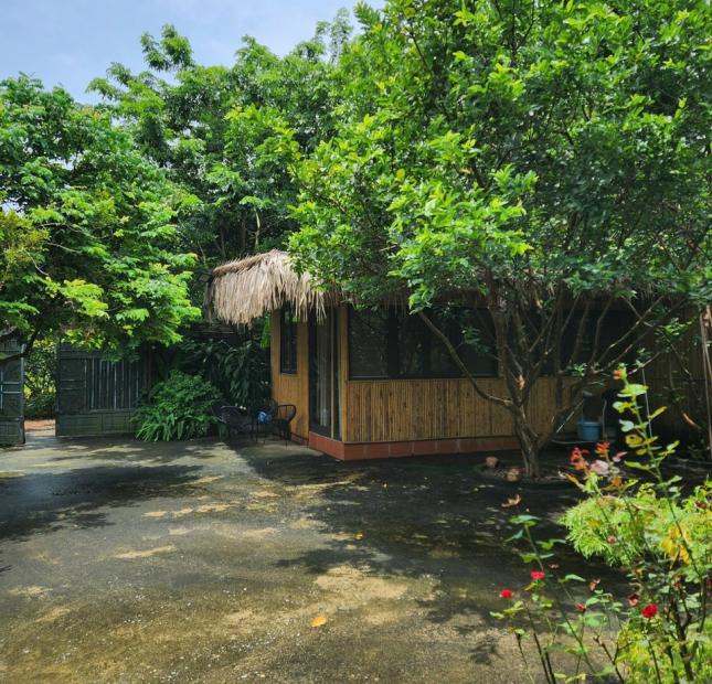 Chính chủ cần bán nhà vườn vị trí đẹp phường Nhật Tân, quận Tây Hồ, thành phố Hà Nội.