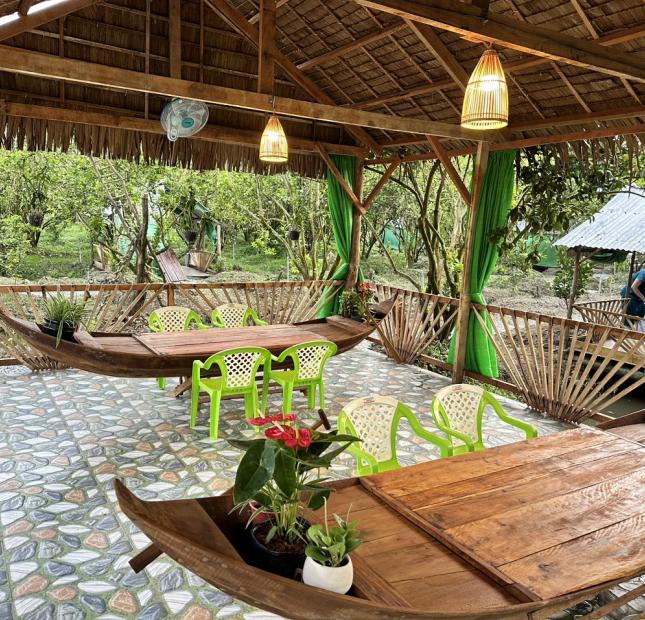 CHÍNH CHỦ CẦN SANG GẤP 8.2 CÔNG ĐẤT CÓ SẴN VƯỜN CAM XOÀN Tại Thoại Sơn, An Giang
