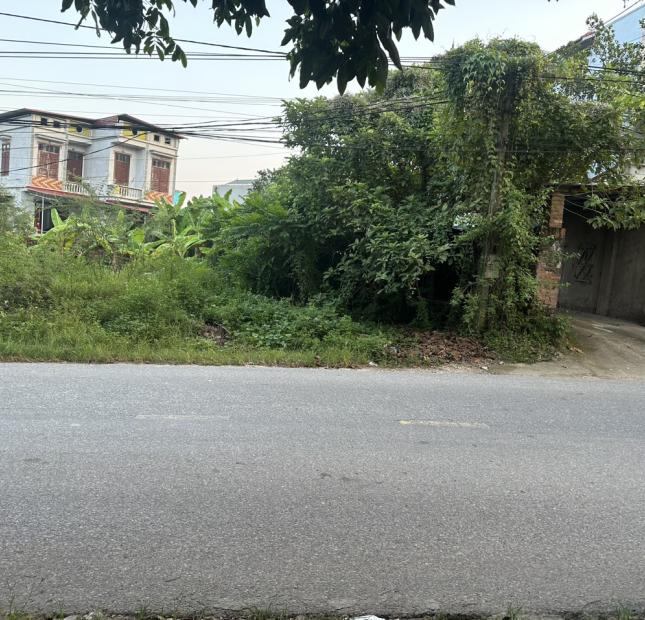 Bán đất đường 310 tại Kim Long,Tam Dương, Vĩnh Phúc. Giá 1.4 tỷ