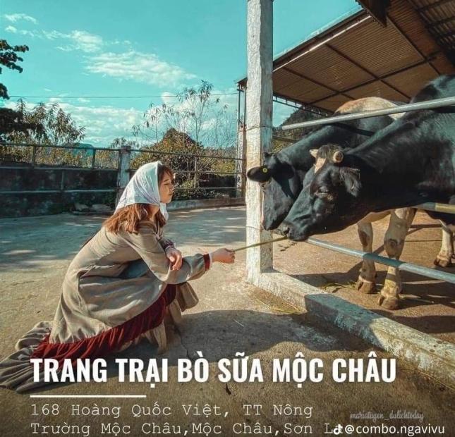 CẮT LỖ ĐẤT MỘC CHÂU TẠI CHIỀN SƠN GIÁ RẺ - ĐÃ CÓ SỔ