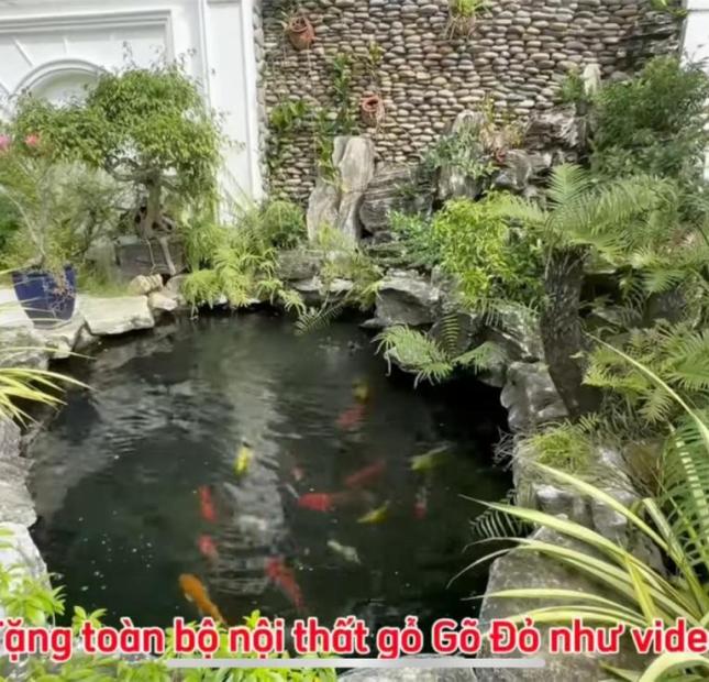 Giảm 2 tỷ bán gấp biệt thự 509m2 tại thị Xã Bến Cát - Bình Dương