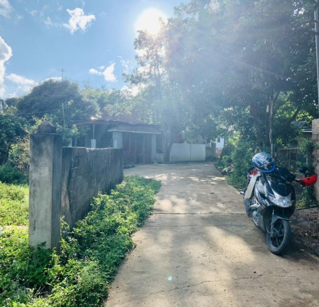 Cần bán gấp mảnh đất phù hợp làm homestay tại Mộc Châu 