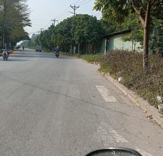 Cho thuê 200m2 Kho, Xưởng Phan Trọng Tuệ , Thanh Trì , Hà Nội.