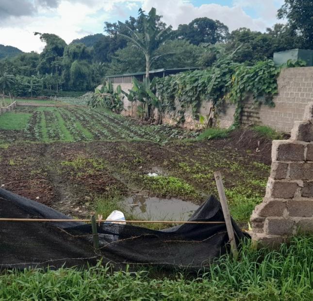 Cần bán gấp mảnh đất có vị trí cực đẹp nằm tại trung tâm Mộc Châu