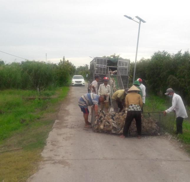 ĐẤT ĐẸP- GIÁ TỐT - CẦN BÁN  Lô Đất Tại thị xã Bình Minh, Vĩnh Long - Giá Rẻ