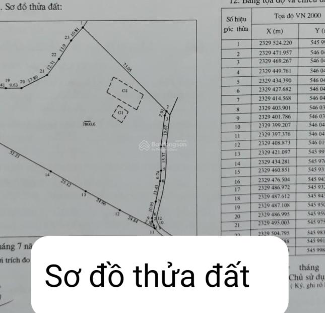 Gia đình cần bán 2 lô đất nghỉ dưỡng đẹp DT 8.000m² và DT 3.331 m2 thuộc xã Yên Bài, Ba Vì, Hà Nội