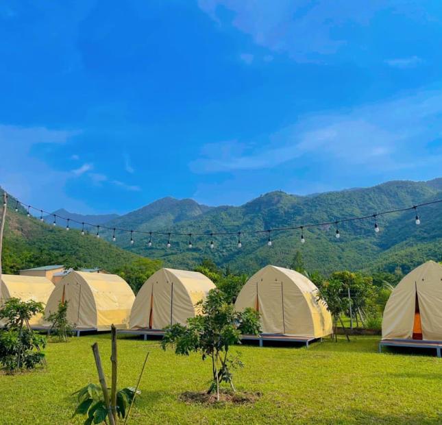 CẦN BÁN OMSTAY 2000M2 ( 1185M2 SỔ) CHỈ 2.6 TỶ ĐỒNG.