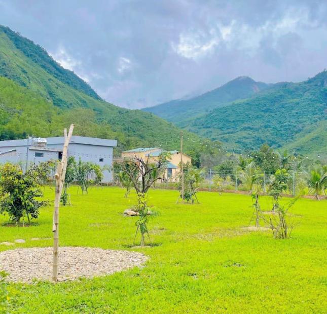 CẦN BÁN OMSTAY 2000M2 ( 1185M2 SỔ) CHỈ 2.6 TỶ ĐỒNG.