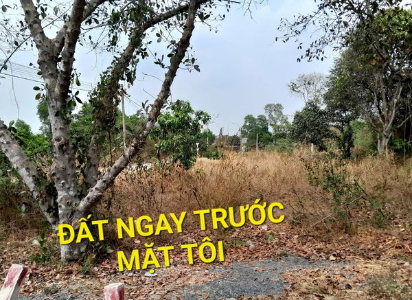 Mặt Tiền QL22 27072m2 có 108 tỷ Tân An Hội Củ Chi Tp.HCM - SOS