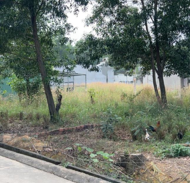 Bán đất tại Phường Tam Phước, Biên Hòa,  Đồng Nai diện tích 100m2
