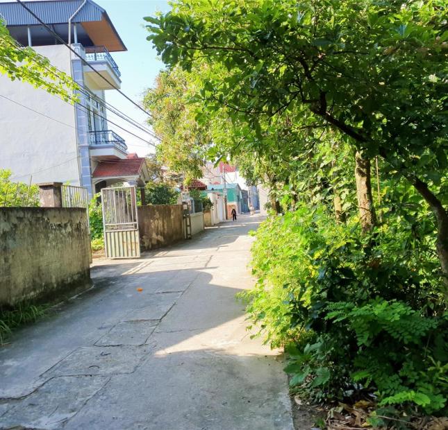 Đất thổ cư Bắc Hồng kích thước đẹp tìm người lông bông