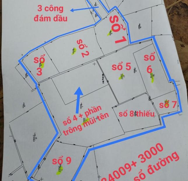 Cần bán tổng diện tích 18 mẫu đất vườn 
Tại xã đôn thuận - trảng bàng Tây Ninh