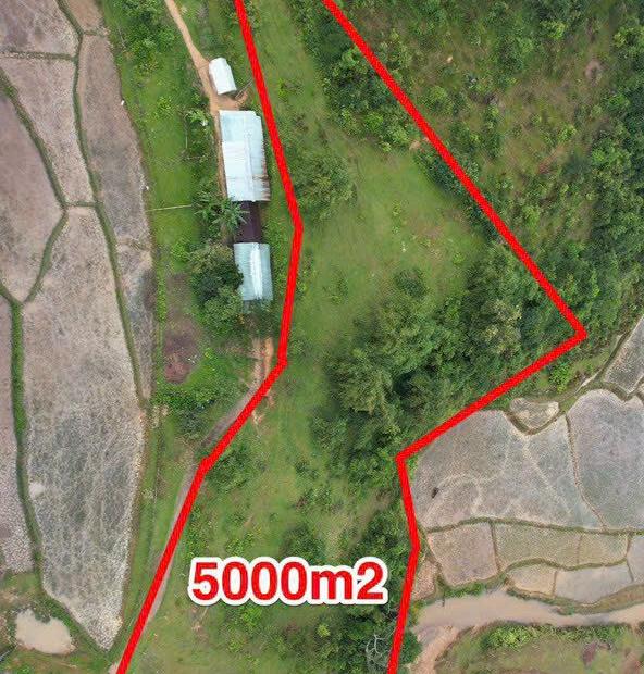 Bán đất Măng đen -Kon tum giá rẻ cho khách đầu tư