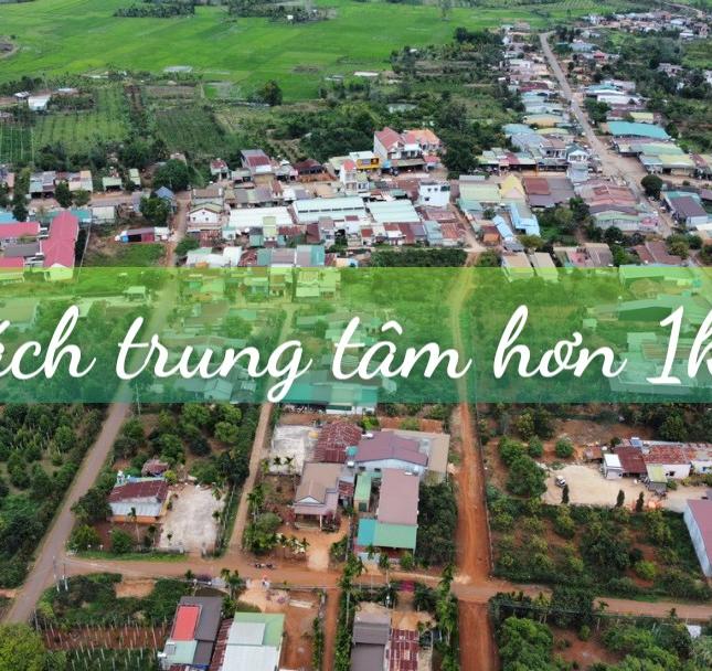 Bán Vườn Vải Thiều Xã Tam Giang - Huyện Krông Năng - Tỉnh DakLak